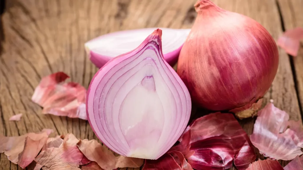 Layanan Kesehatan Terpadu untuk Pemulihan Jantung, Stroke, dan Terapi Anak Berkebutuhan Khusus