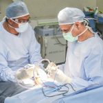 Expediheal: Panduan Lengkap Akses Perawatan Medis Malaysia dari Indonesia